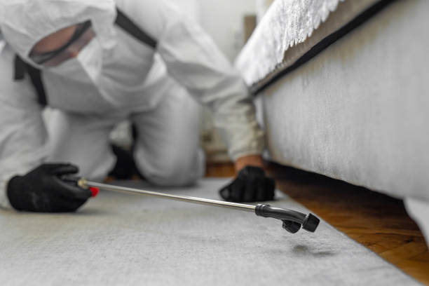 Professional Cockroach Control technician working in Colon, MI