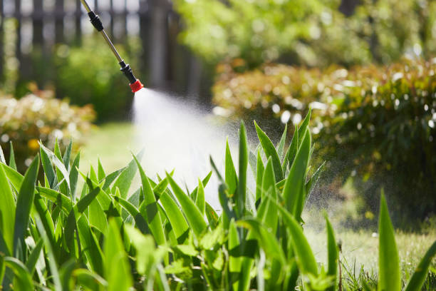 24/7 Emergency Cockroach Control experts in Colon, MI