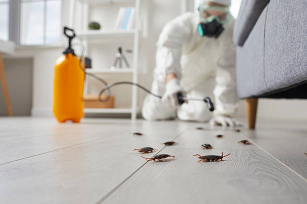 Affordable Cockroach Control solutions in Colon, MI