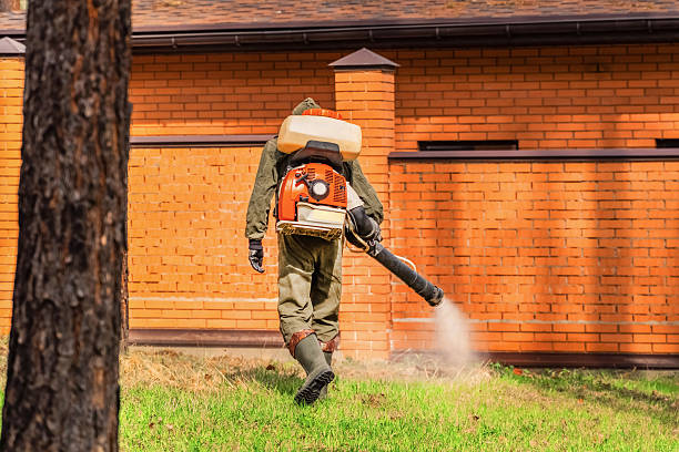 Top rated local Cockroach Control specialists in Colon, MI